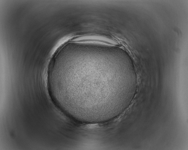 X0000116790054200912311925