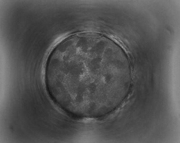 X0000116790055200912311925