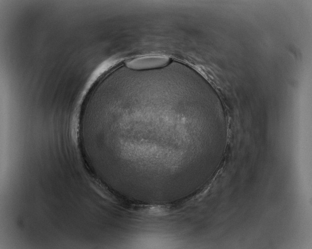 X0000116790056200912311925