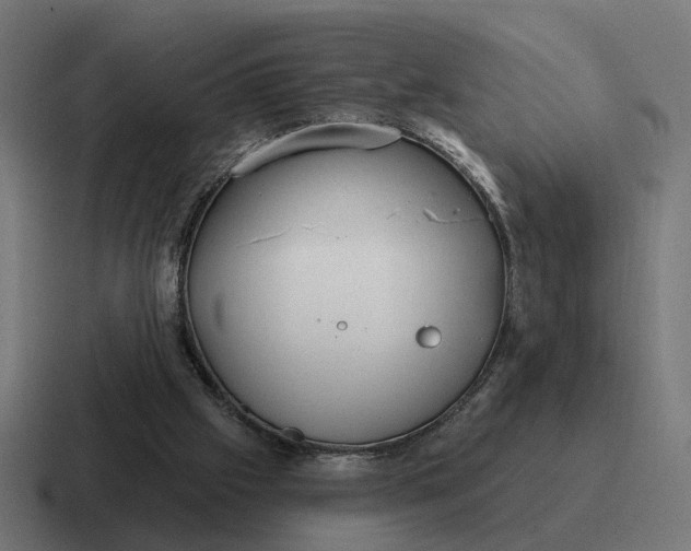 X0000116790057200912311925