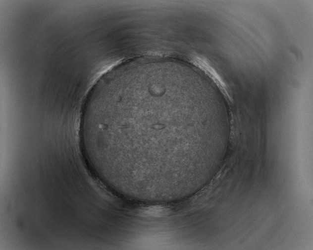 X0000116790058200912311925