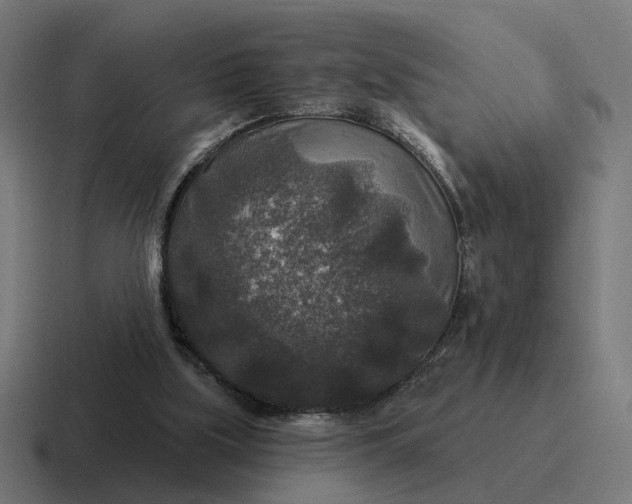 X0000116790059200912311925