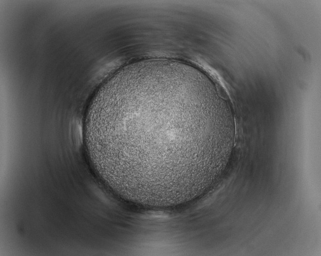 X0000116790061200912311925