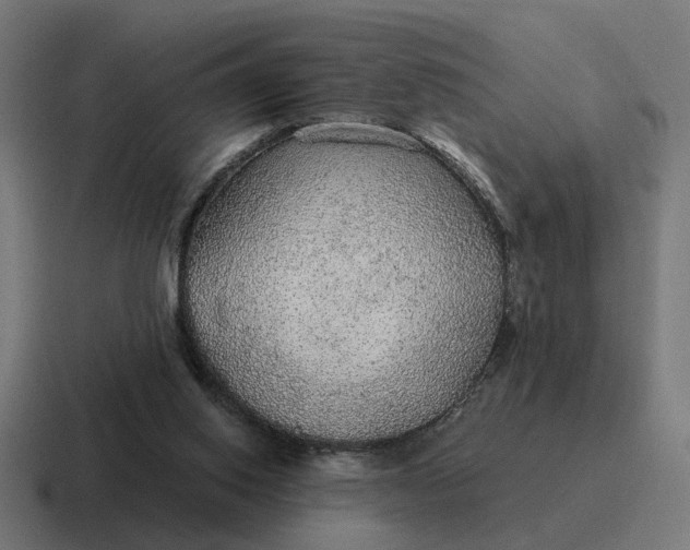 X0000116790062200912311925