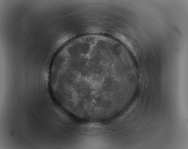 X0000116790063200912311925