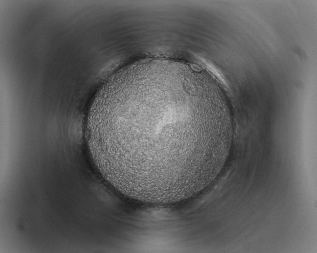 X0000116790065200912311925