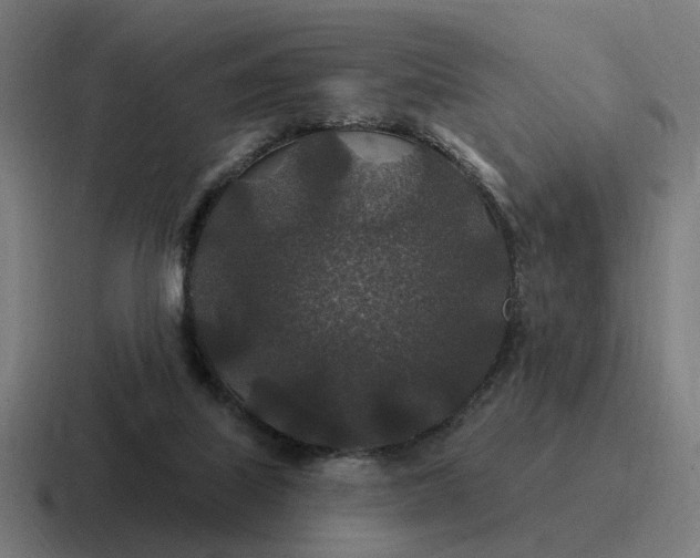 X0000116790067200912311925