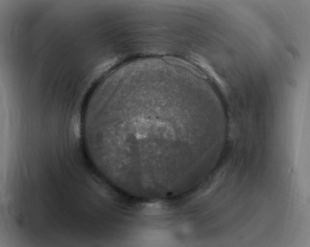 X0000116790068200912311925