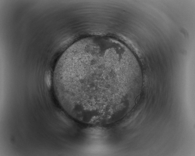 X0000116790069200912311925