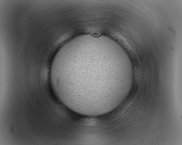 X0000116790071200912311925