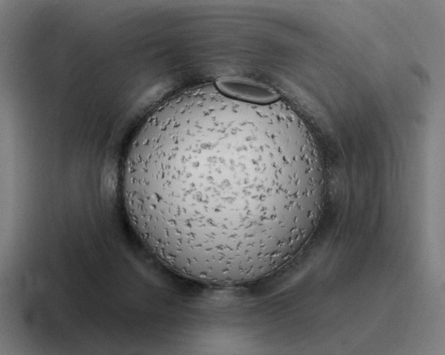 X0000116790072200912311925