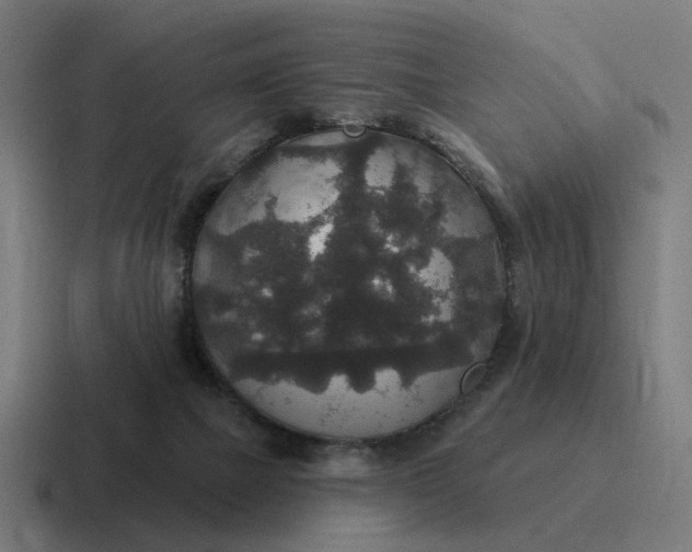 X0000116790073200912311925