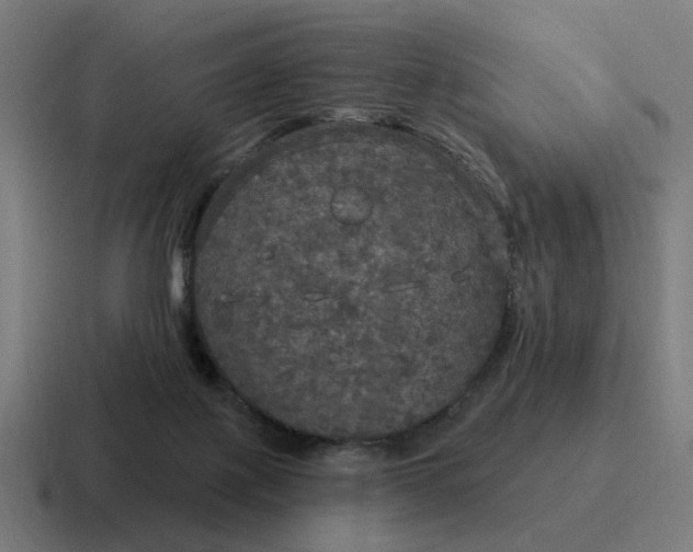 X0000116790075200912311925