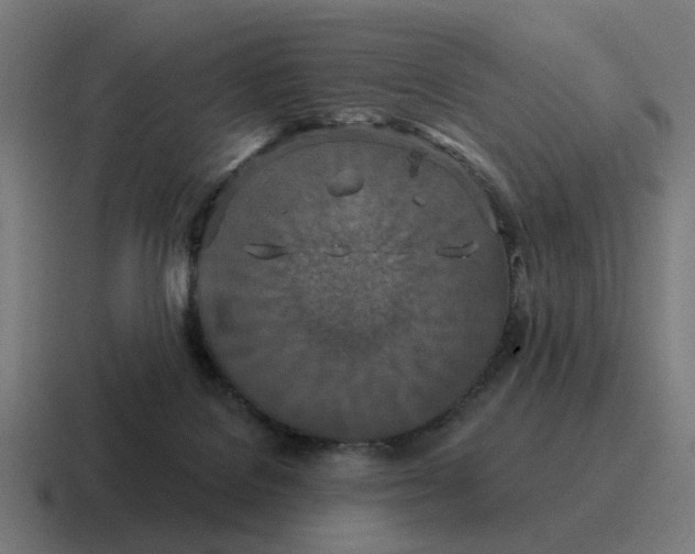 X0000116790076200912311925