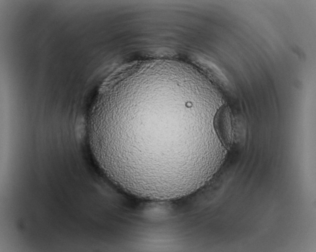 X0000116790077200912311925