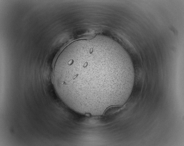 X0000116790078200912311925