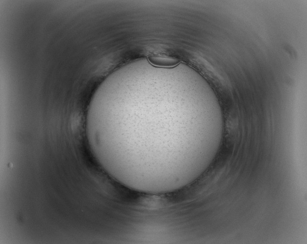 X0000116790079200912311925