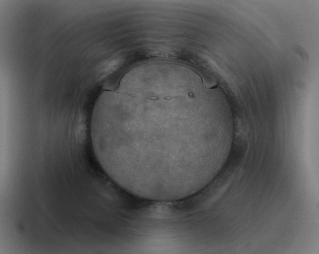 X0000116790080200912311925