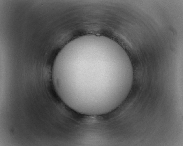 X0000116790083200912311925