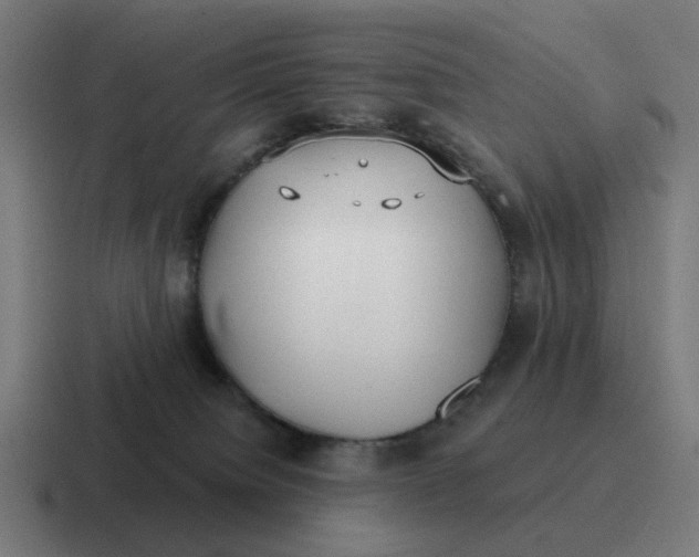 X0000116790084200912311925