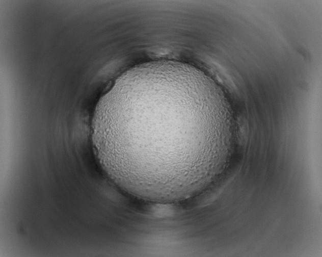 X0000116790085200912311925