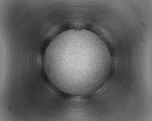 X0000116790086200912311925