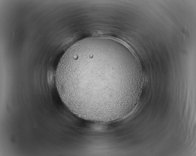 X0000116790094200912311925