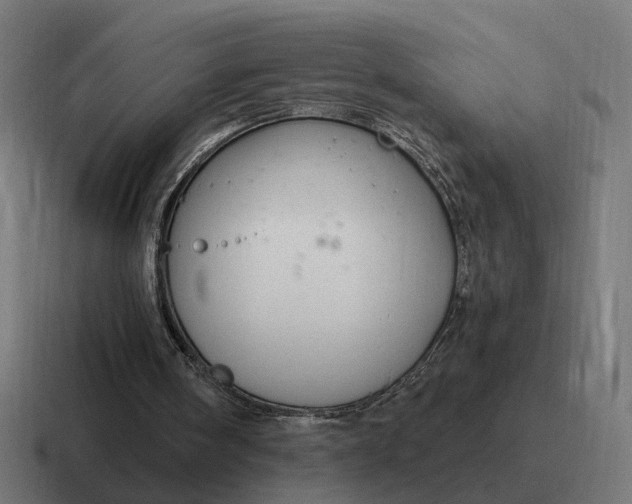 X0000116790098200912311924