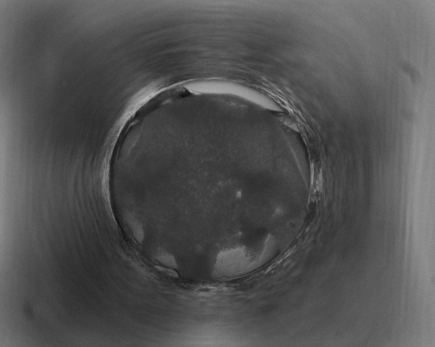 X0000116790099200912311924