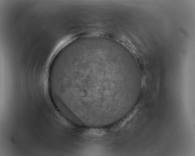 X0000116790101200912311924