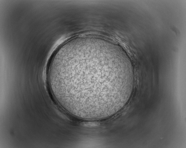 X0000116790102200912311924