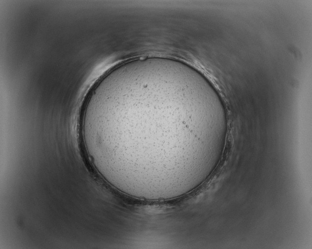 X0000116790103200912311924