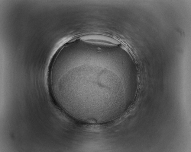 X0000116790104200912311924