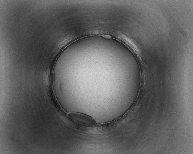 X0000116790105200912311924