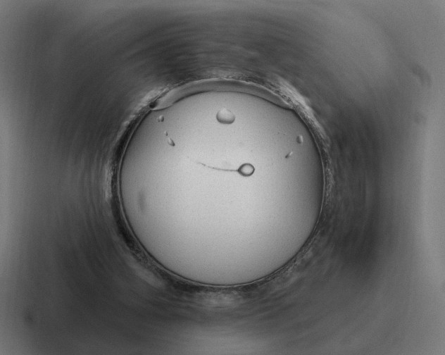 X0000116790106200912311924