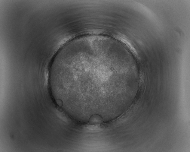 X0000116790110200912311924