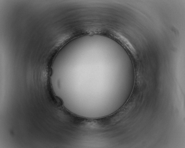 X0000116790113200912311924