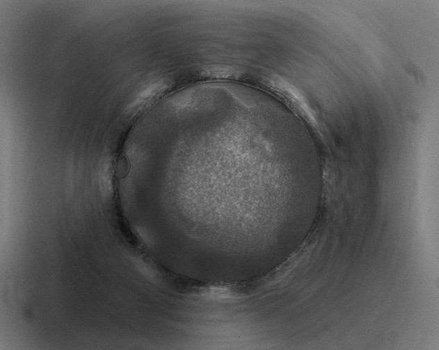 X0000116790114200912311924