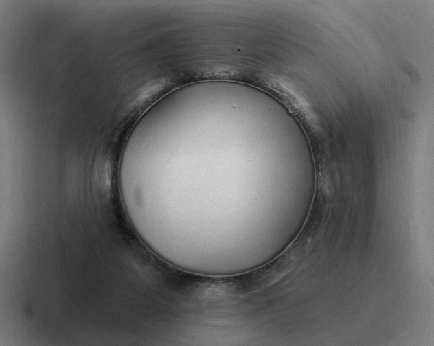 X0000116790115200912311924