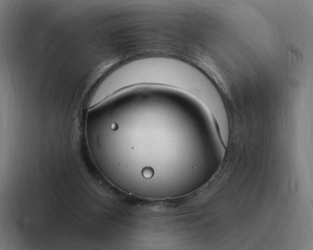 X0000116790116200912311924