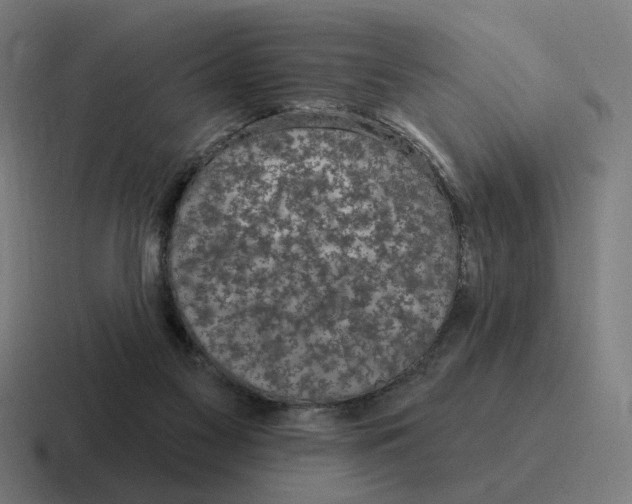 X0000116790117200912311924