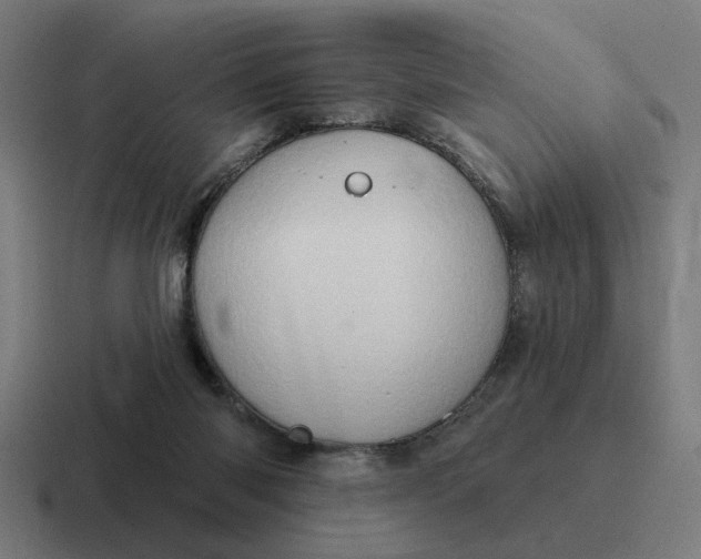 X0000116790118200912311924