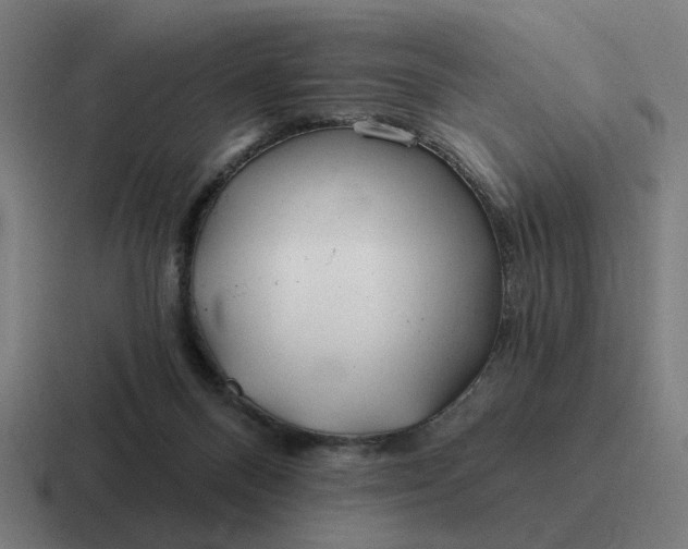 X0000116790120200912311924