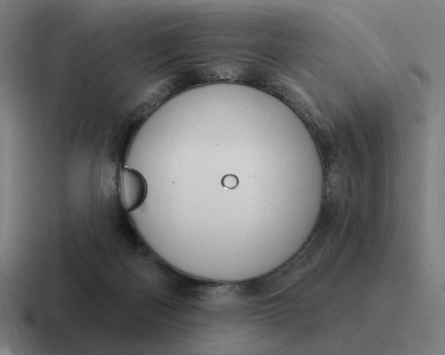 X0000116790122200912311924