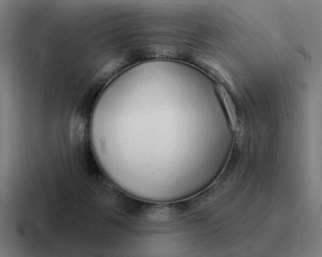 X0000116790123200912311924