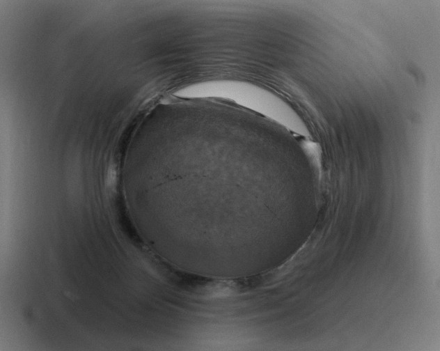 X0000116790124200912311924