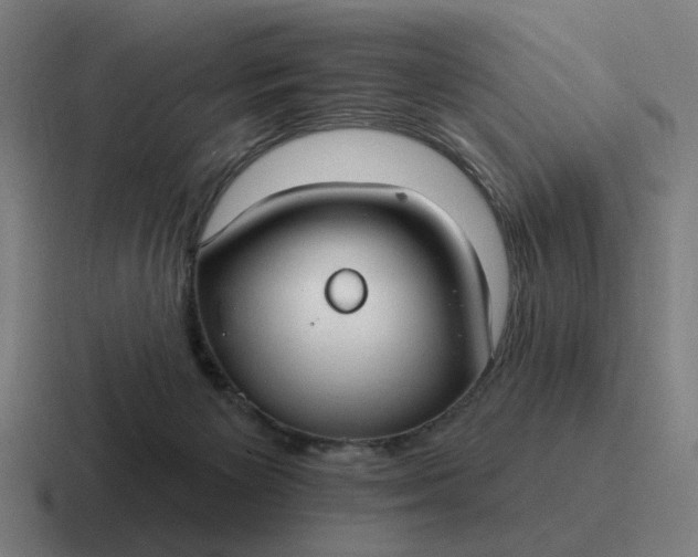 X0000116790125200912311924