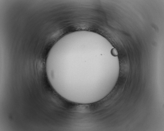 X0000116790126200912311924