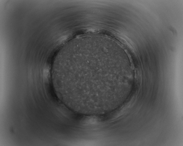 X0000116790127200912311924