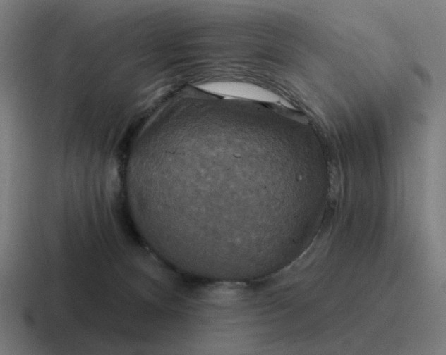 X0000116790128200912311924